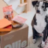 Ollie dog food cost