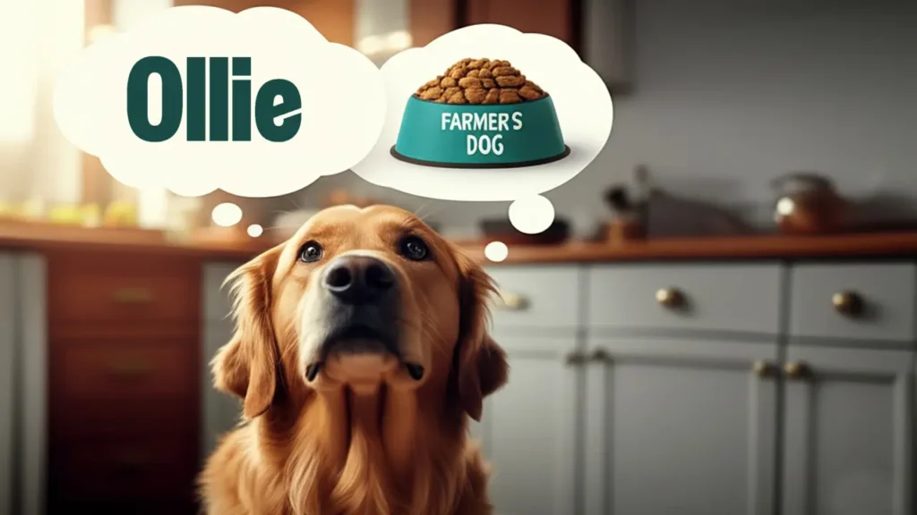 farmer's dog or Ollie