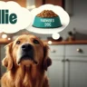 farmer's dog or Ollie